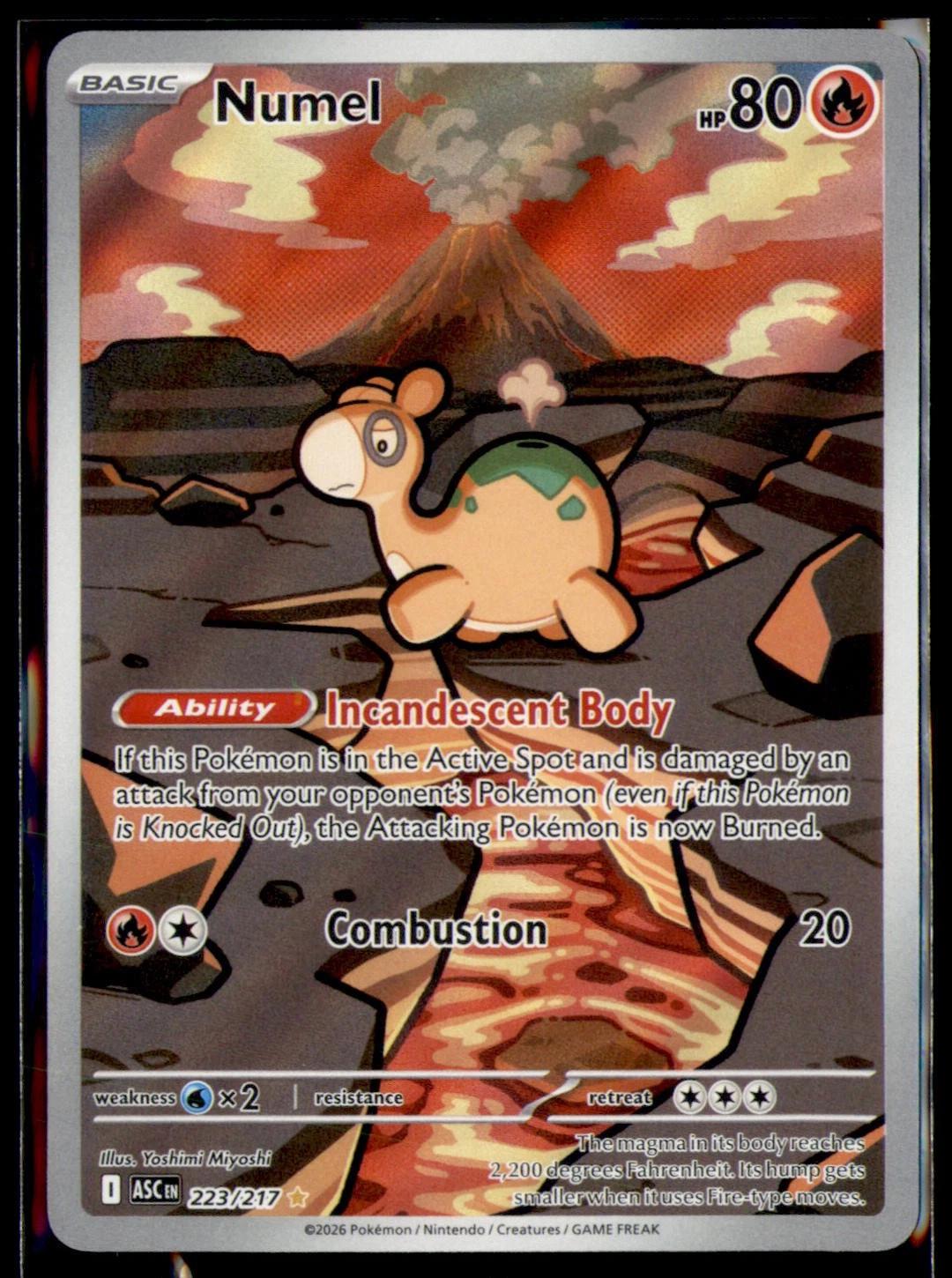 Ascended Heroes Numel Pokémon card
